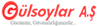 Glsoylar Logo
