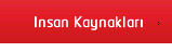 Glsoylar insan kaynaklar